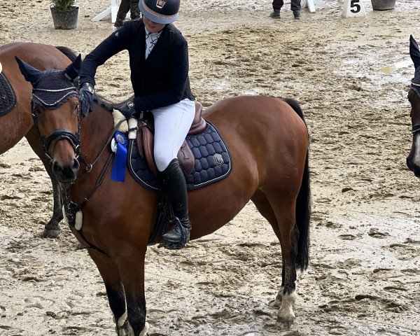jumper Steendieks Captain Future (German Riding Pony, 2010, from FS Chambertin)