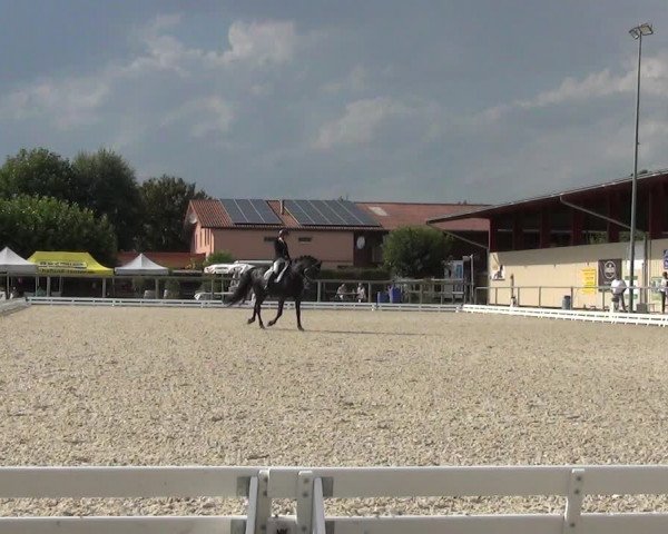 Reitturnier Dompierre 2023