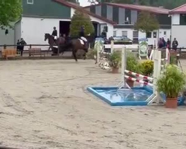Reitturnier Klein Offenseth 2023