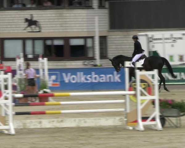 Reitturnier Olfen-Vinnum 2023