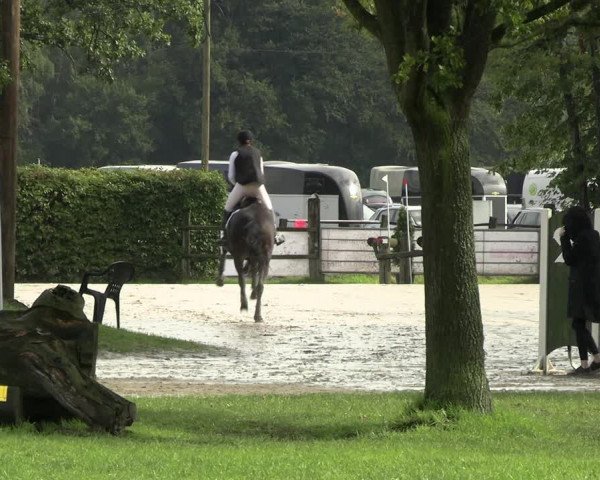 Reitturnier Olfen-Vinnum 2023