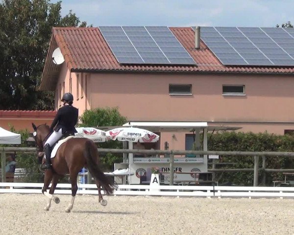 Reitturnier Dompierre 2023