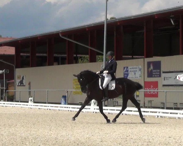 Reitturnier Dompierre 2023