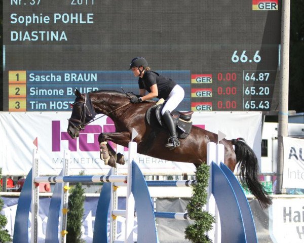 Springpferd Diastina (Hannoveraner, 2015, von Diacontinus)