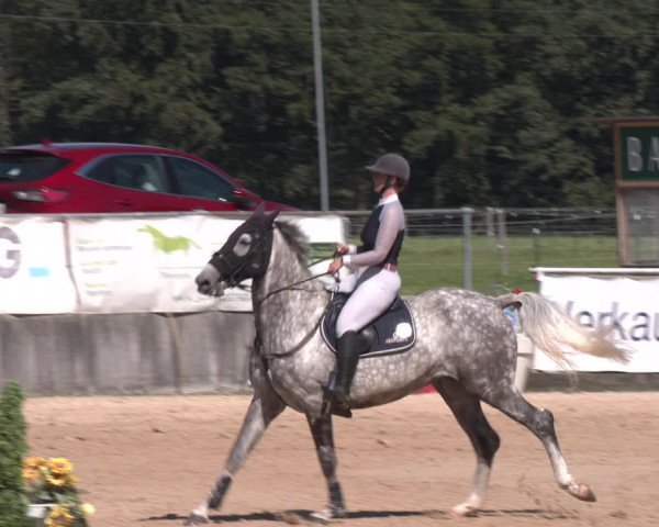 Reitturnier Ranshofen - Braunau am Inn 2023