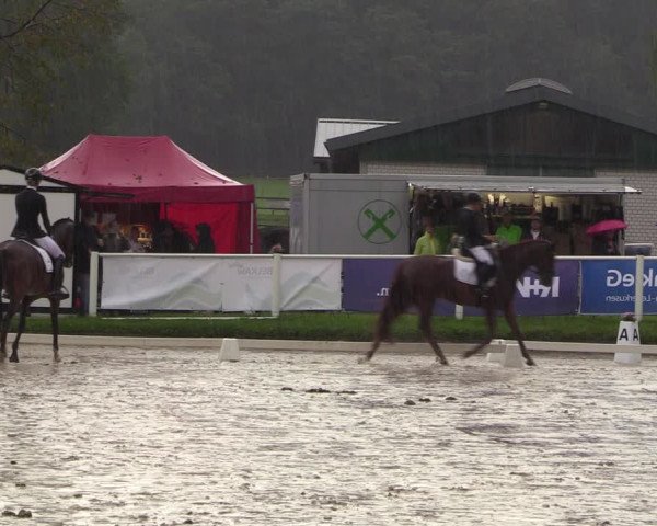 Reitturnier Bergisch Gladbach - Hebborner Hof 2023