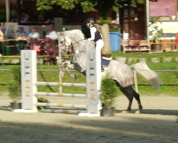Reitturnier Oberderdingen 2023