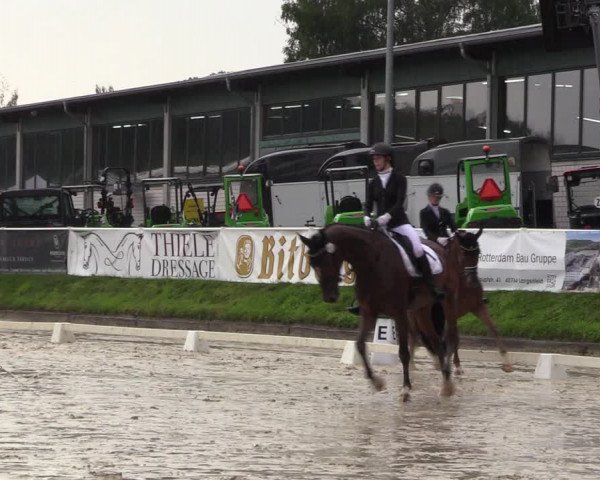 Reitturnier Bergisch Gladbach - Hebborner Hof 2023