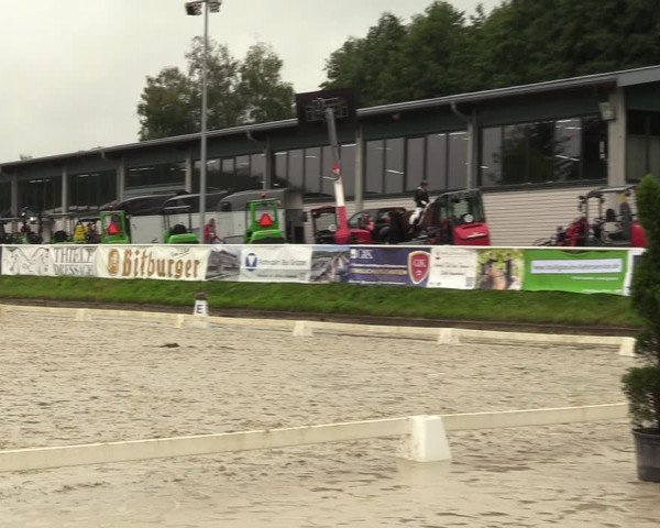Reitturnier Bergisch Gladbach - Hebborner Hof 2023
