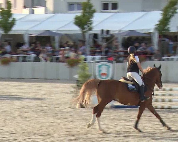 Reitturnier Grafenrheinfeld 2023