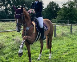 jumper Coralie de Caroly (Rhinelander, 2018, from Caroly)