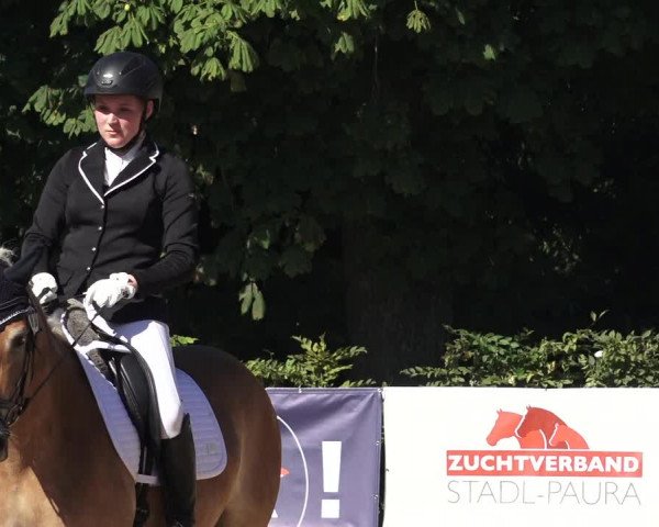 Oberösterreichisches Reitpferdechampionat / Pferdezuchtverband Stadl Paura