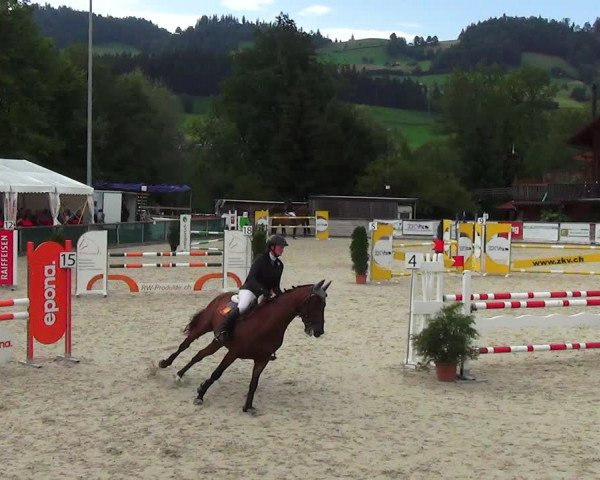 Reitturnier Schüpfheim 2023