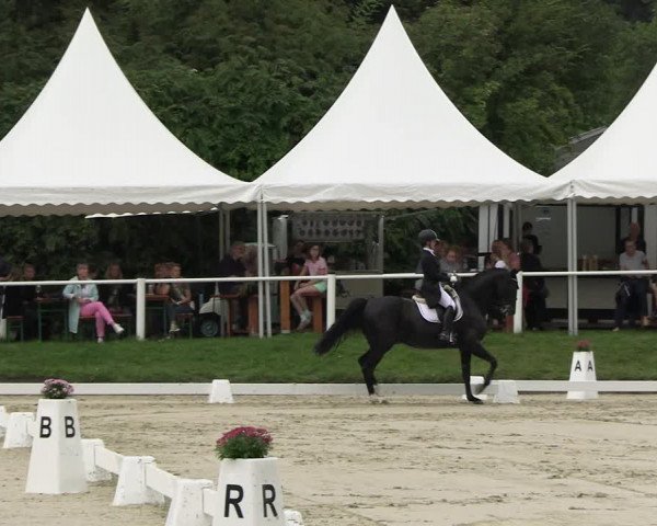 Reitturnier Bergisch Gladbach - Hebborner Hof 2023