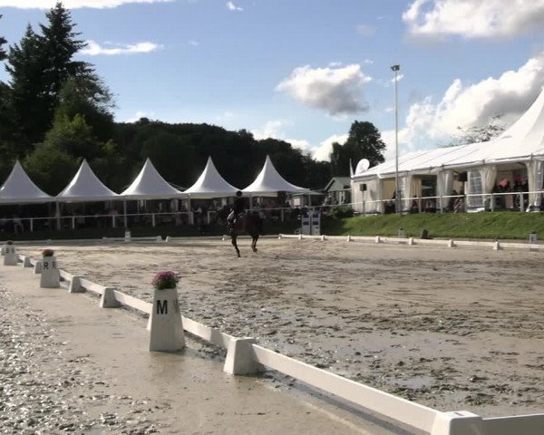 Reitturnier Bergisch Gladbach - Hebborner Hof 2023