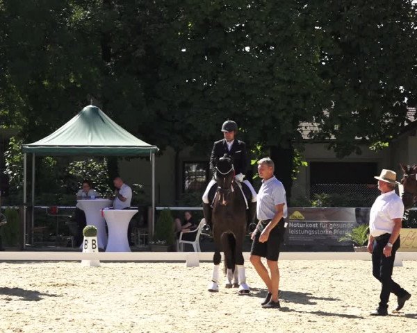 Oberösterreichisches Reitpferdechampionat / Pferdezuchtverband Stadl Paura