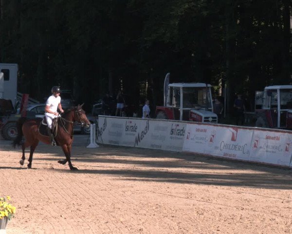 Reitturnier Ranshofen - Braunau am Inn 2023