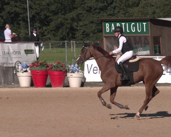 Reitturnier Ranshofen - Braunau am Inn 2023