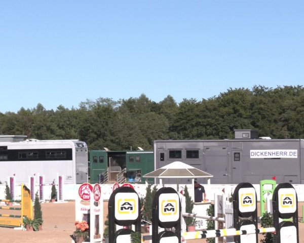 Reitturnier Ranshofen - Braunau am Inn 2023