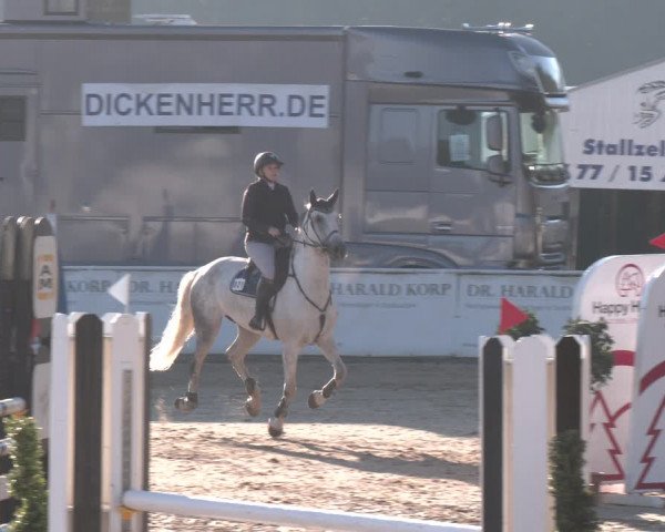 Reitturnier Ranshofen - Braunau am Inn 2023