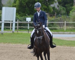Dressurpferd Honeymoon's Beauty (Deutsches Reitpony, 2018, von Honeymoon Star)