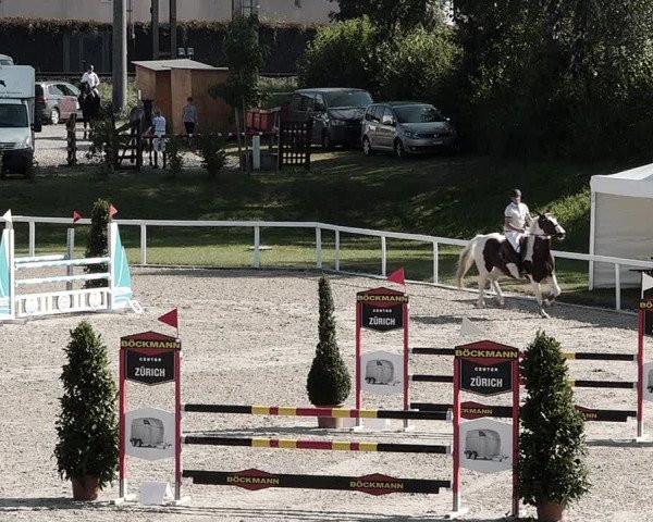 Pferdesporttage Bülach 2021