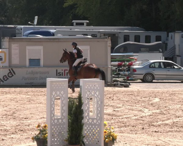 Reitturnier Ranshofen - Braunau am Inn 2023