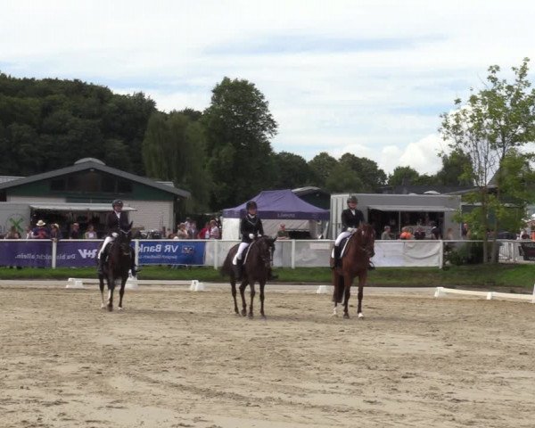 Reitturnier Bergisch Gladbach - Hebborner Hof 2023
