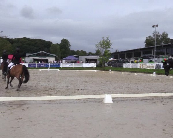 Reitturnier Bergisch Gladbach - Hebborner Hof 2023