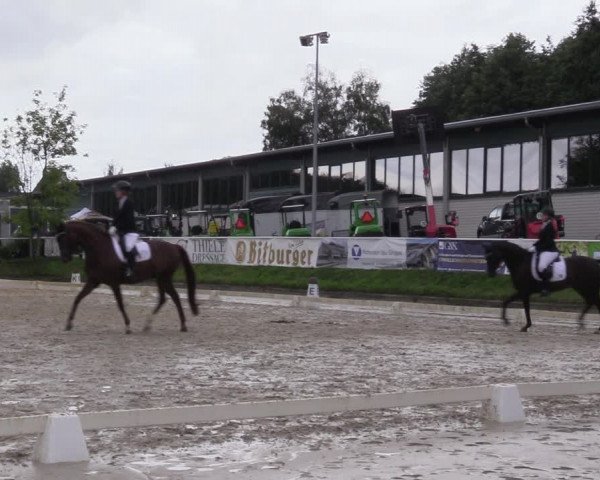 Reitturnier Bergisch Gladbach - Hebborner Hof 2023