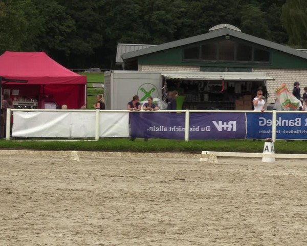 Reitturnier Bergisch Gladbach - Hebborner Hof 2023