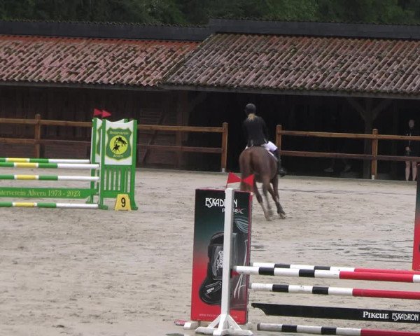 Reitturnier Alvern 2023