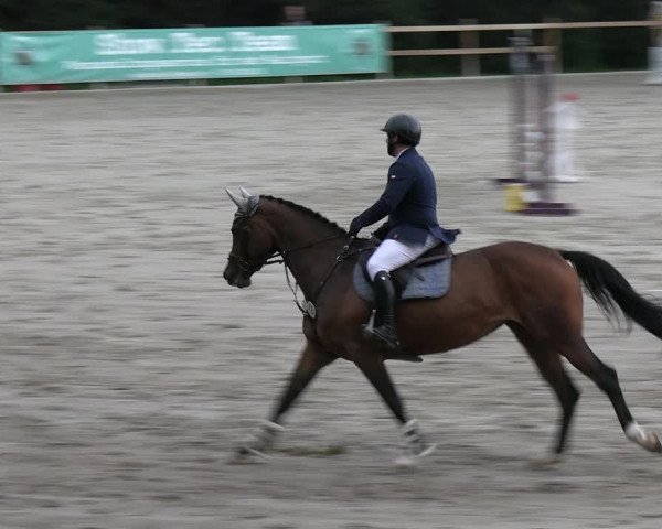 Reitturnier Alvern 2023