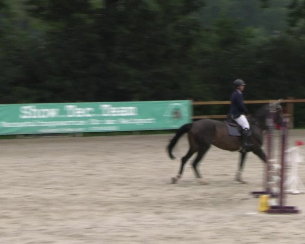 Reitturnier Alvern 2023