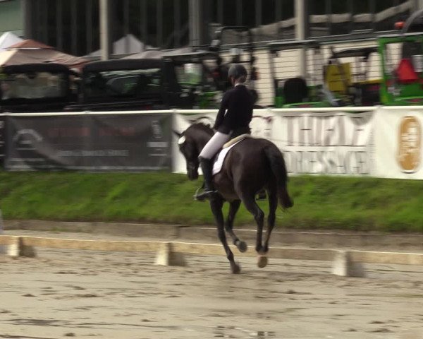 Reitturnier Bergisch Gladbach - Hebborner Hof 2023