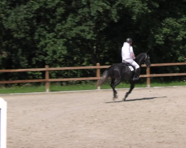 Reitturnier Alvern 2023