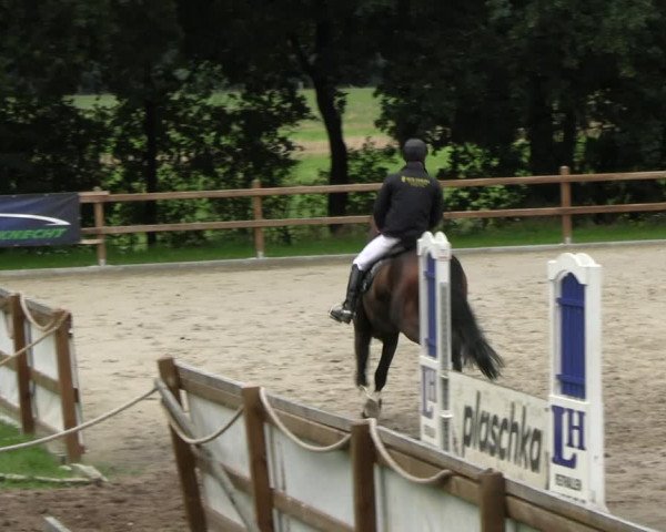 Reitturnier Alvern 2023