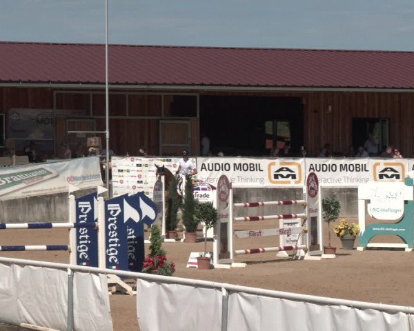 Reitturnier Ranshofen - Braunau am Inn 2023