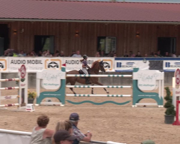 Reitturnier Ranshofen - Braunau am Inn 2023