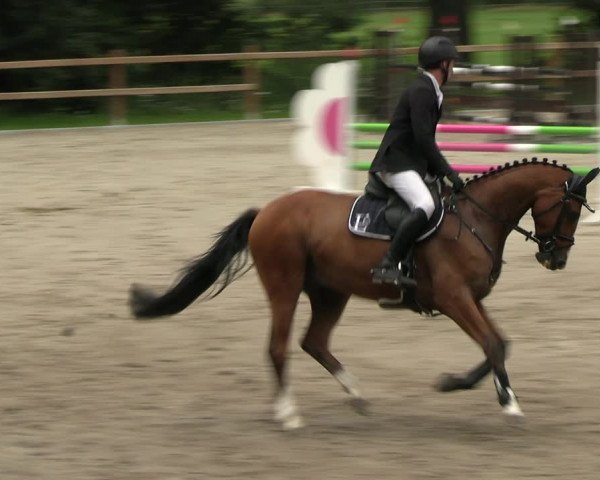 Reitturnier Alvern 2023