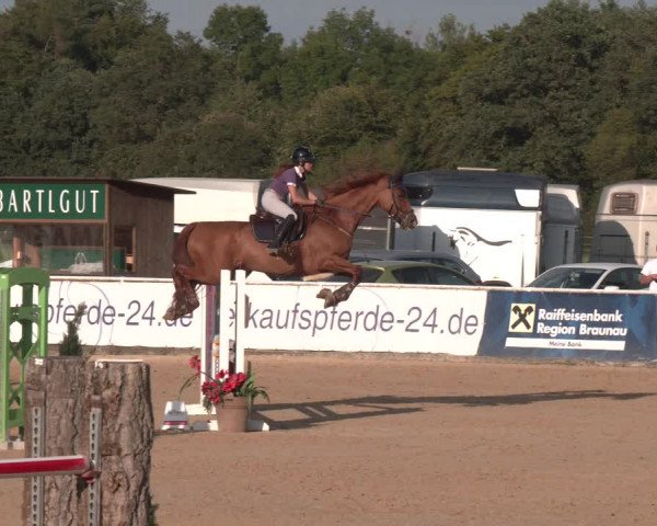 Reitturnier Ranshofen - Braunau am Inn 2023