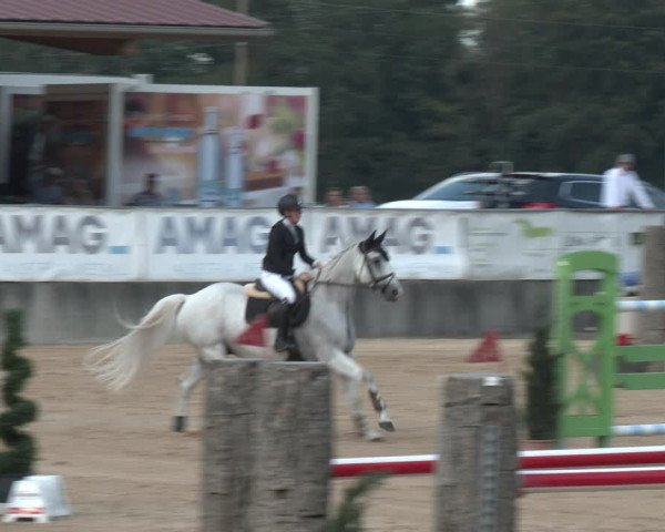 Reitturnier Ranshofen - Braunau am Inn 2023