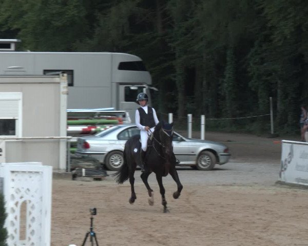 Reitturnier Ranshofen - Braunau am Inn 2023
