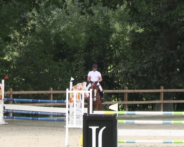 Reitturnier Alvern 2023