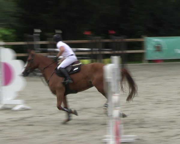Reitturnier Alvern 2023