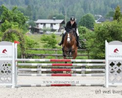 broodmare Prima Ballarina (Holsteiner, 2011, from Clarimo Ask)