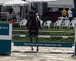 broodmare Cormina S (Hanoverian, 2015, from Cormint)
