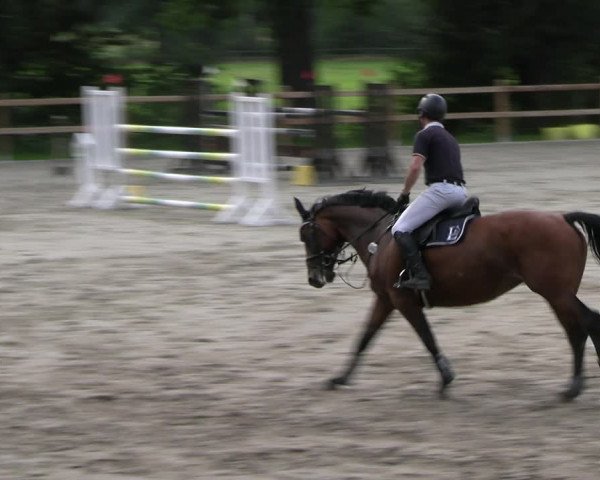 Reitturnier Alvern 2023