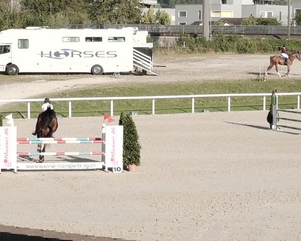 Pferdesporttage Bülach 2021
