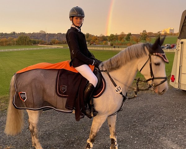 Springpferd Fairlight van de Vlierbeek (Belgium Sporthorse, 2011, von Quintus)